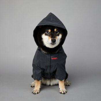 Veste pour chien Nasa | 2024