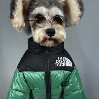 Veste pour chien The North Face | 2024