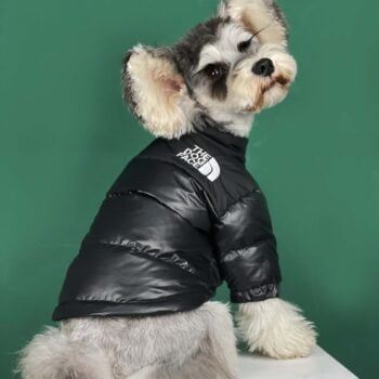 Veste pour chien The North Face | 2024