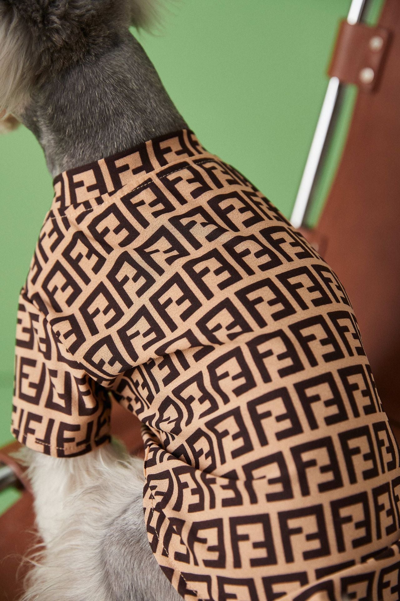 T-shirt pour chien Fendi | 2024