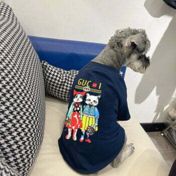 T-shirt pour chien Gucci | 2024