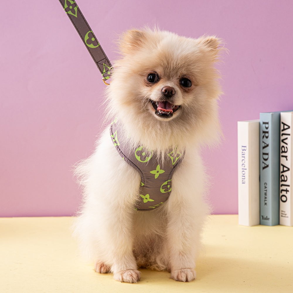 Collier et harnais pour chien Louis Vuitton | 2023