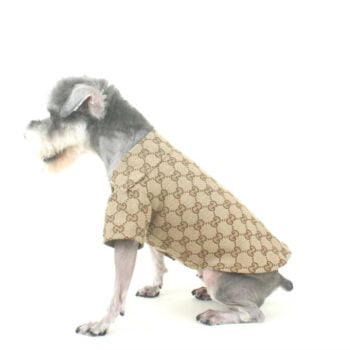 Veste pour chien Gucci | 2024