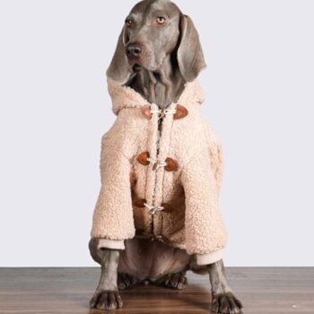 Vêtements Grands Chiens - 2025 - Vêtement et accessoires pour chiens - Doglovedesign