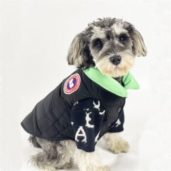 Veste pour chien Canada Goose | 2024