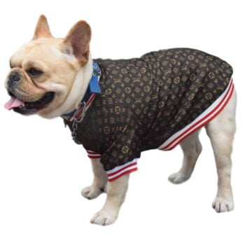 Veste pour chien Louis Pawtton | 2024