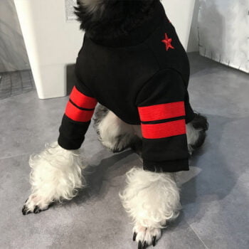 T-shirt pour chien Givenchy | 2025