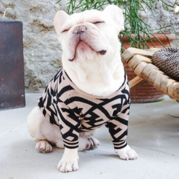 Pull pour chien Fendi | 2024