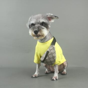 Sac Banane Monogrammé | Accessoire Chien Luxe & Vêtement Chihuahua Tendance - 2025 - Doglovedesign : Vêtement et accessoires pour chiens