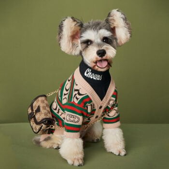 Pull pour chien Gucci | 2024