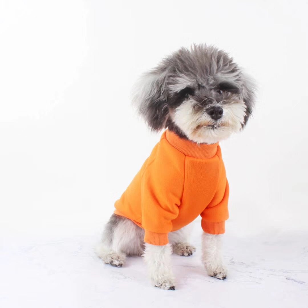 Sweat-shirt pour chien Louis Vuitton | 2023