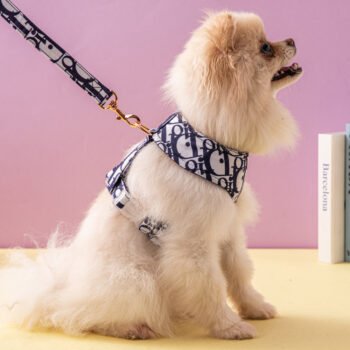 Harnais et laisse Dior pour chien chic | 2025