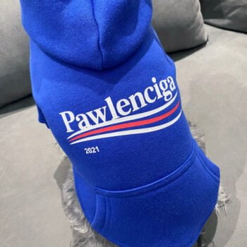 Sweat à capuche pour chien Balenciaga | 2024