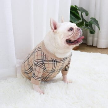 Pull pour chien Burberry | 2024