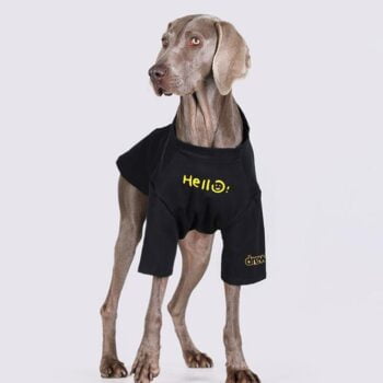 Vêtements Grands Chiens Hello Smile | 2025