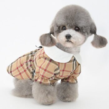 Robe Burberry pour Chiens - Distinction et Style Canin | 2025