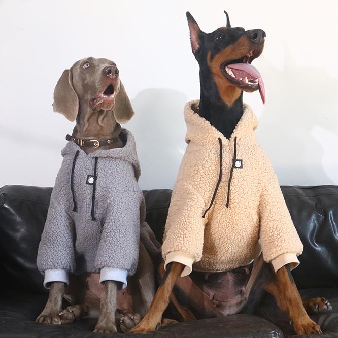 Vêtements Grands Chiens | 2025