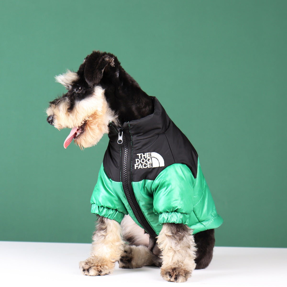 Veste pour chien The North Face - 2025 - Vêtement et accessoires pour chiens - Doglovedesign