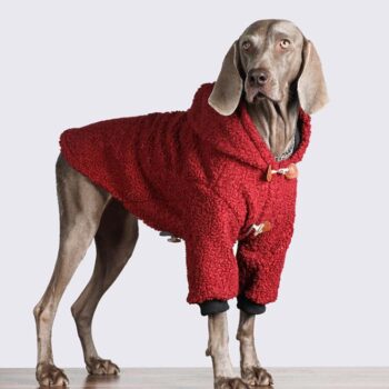Vêtements Grands Chiens - 2025 - Vêtement et accessoires pour chiens - Doglovedesign