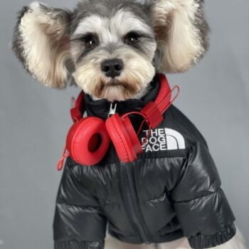 Veste pour chien The North Face | 2024