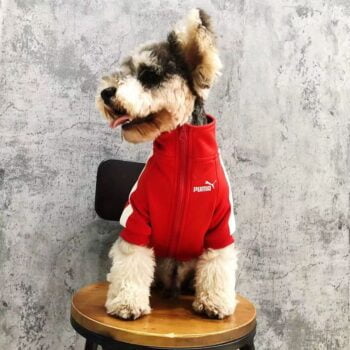 Veste pour chien Puma | 2024