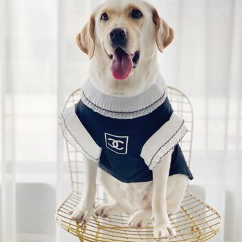 Vêtements Grands Chiens Chanel | 2025