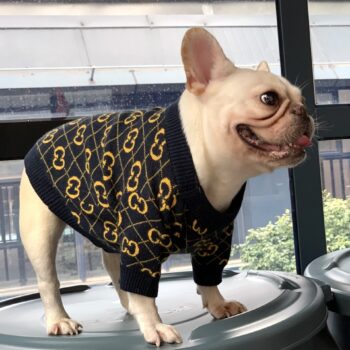 Pull pour chien Gucci | 2024