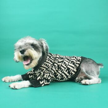 Pull pour chien Fendi | 2025