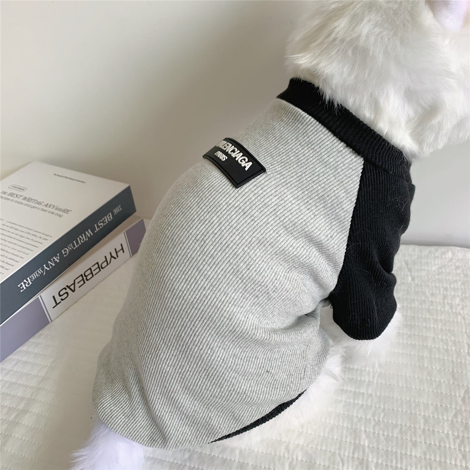 T-shirt pour chien Balenciaga | 2024