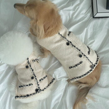 Pull pour chien Chanel | 2024