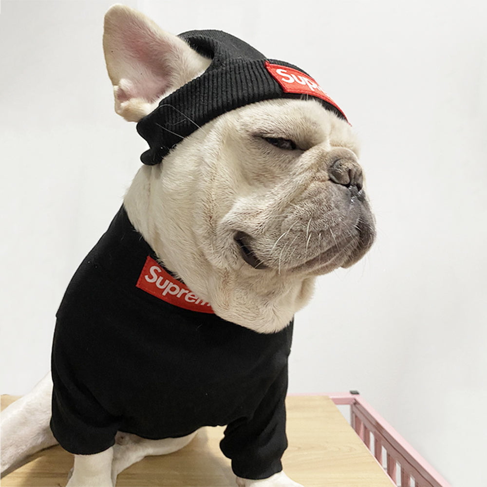 Pull pour chien Supreme | 2024