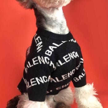 Pull pour chien Balenciaga | 2024