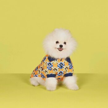 T-shirt pour chien Gucci | 2025