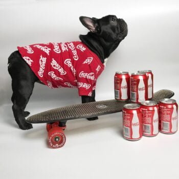 T-shirt pour chien Coca Cola | 2024