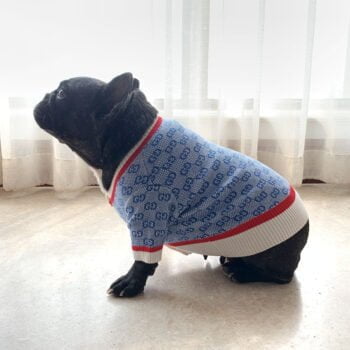 Pull pour chien Gucci | 2025