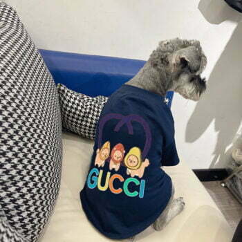 T-shirt pour chien Gucci | 2024