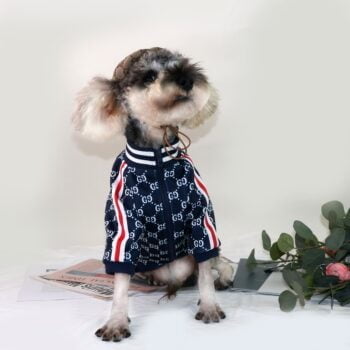 Veste pour chien Pawcci - 2025 - Vêtement et accessoires pour chiens - Doglovedesign