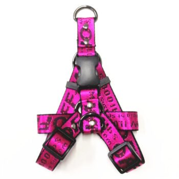 Collier et harnais pour chien Off White - 2025 - Vêtement et accessoires pour chiens - Doglovedesign