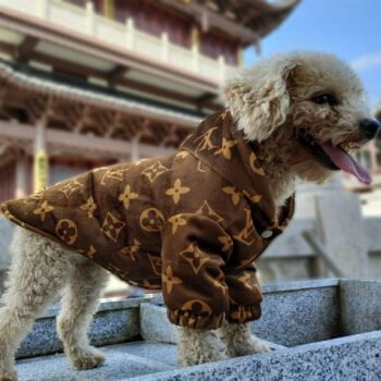 Veste pour chien Louis Pawtton | 2025