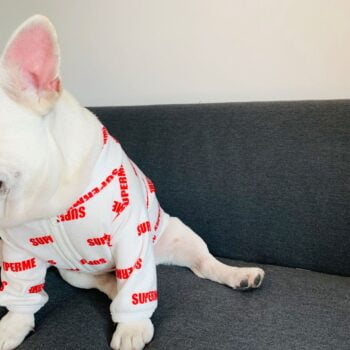 Veste pour chien Supreme | 2025