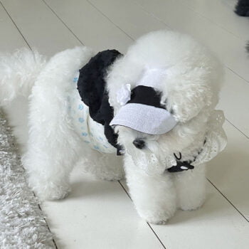 Robe pour chien Chanel | 2024