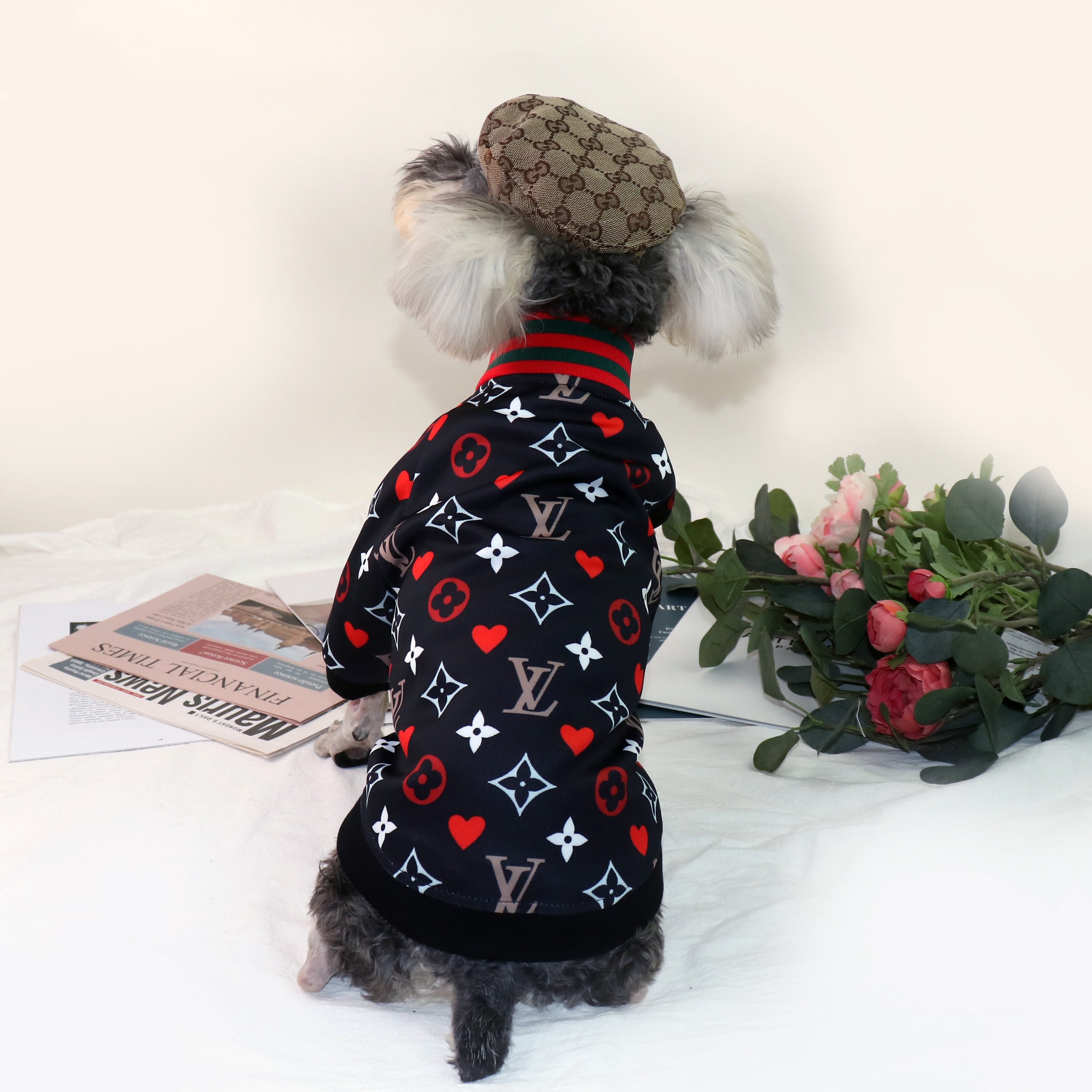 Veste pour chien Louis Vuitton | 2023