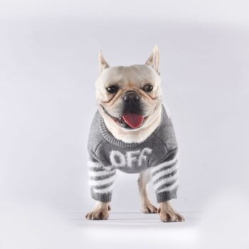 Pull pour chien OFF WHITE | 2024