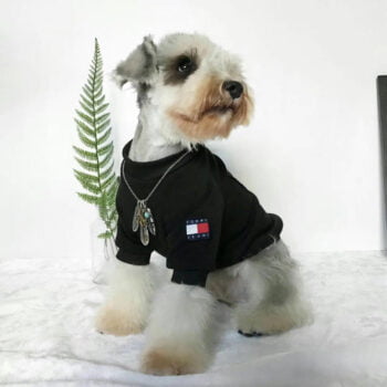 Sweat-shirt pour chien Tommy | 2024