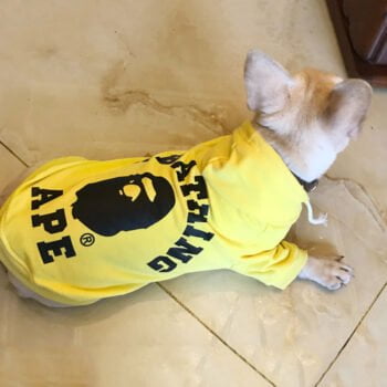 Sweat à capuche pour chien Bape | 2024