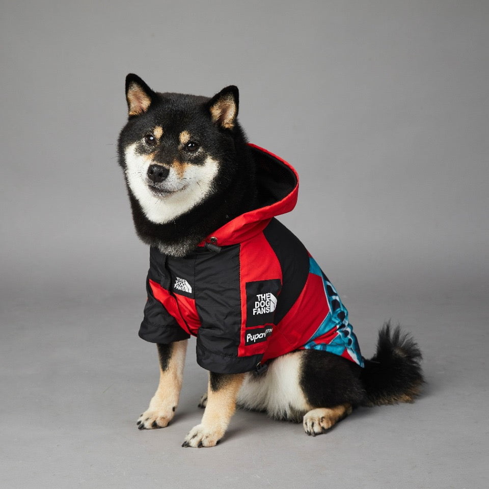 Sweat à capuche pour chien The North Face | 2024