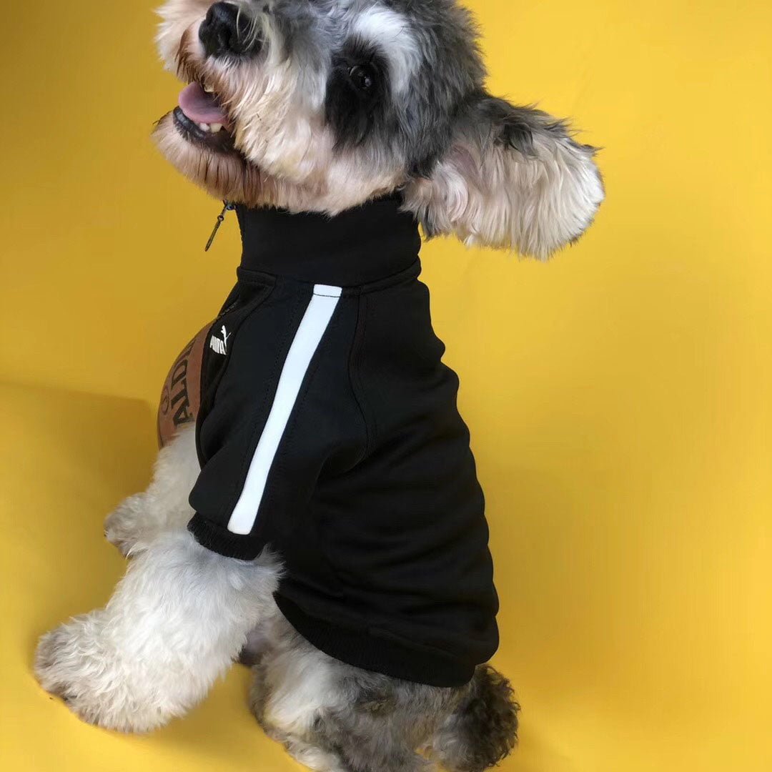 Veste pour chien Puma | 2024