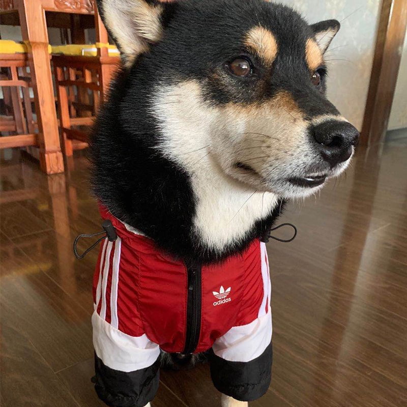 Sweat à capuche pour chien Adidas | 2024