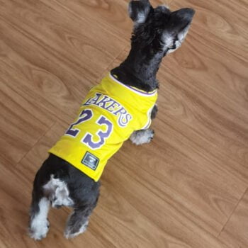 Gilet sans manches pour chien Basketball | 2024