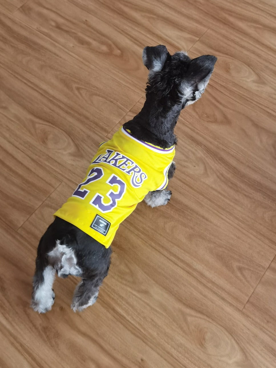 Gilet sans manches pour chien Basketball | 2024